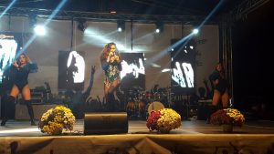 Like Chocolate 3 300x169 - Adrianna